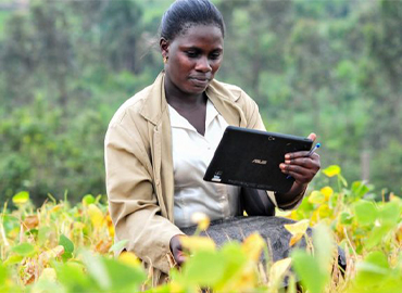 Exploitations agricoles